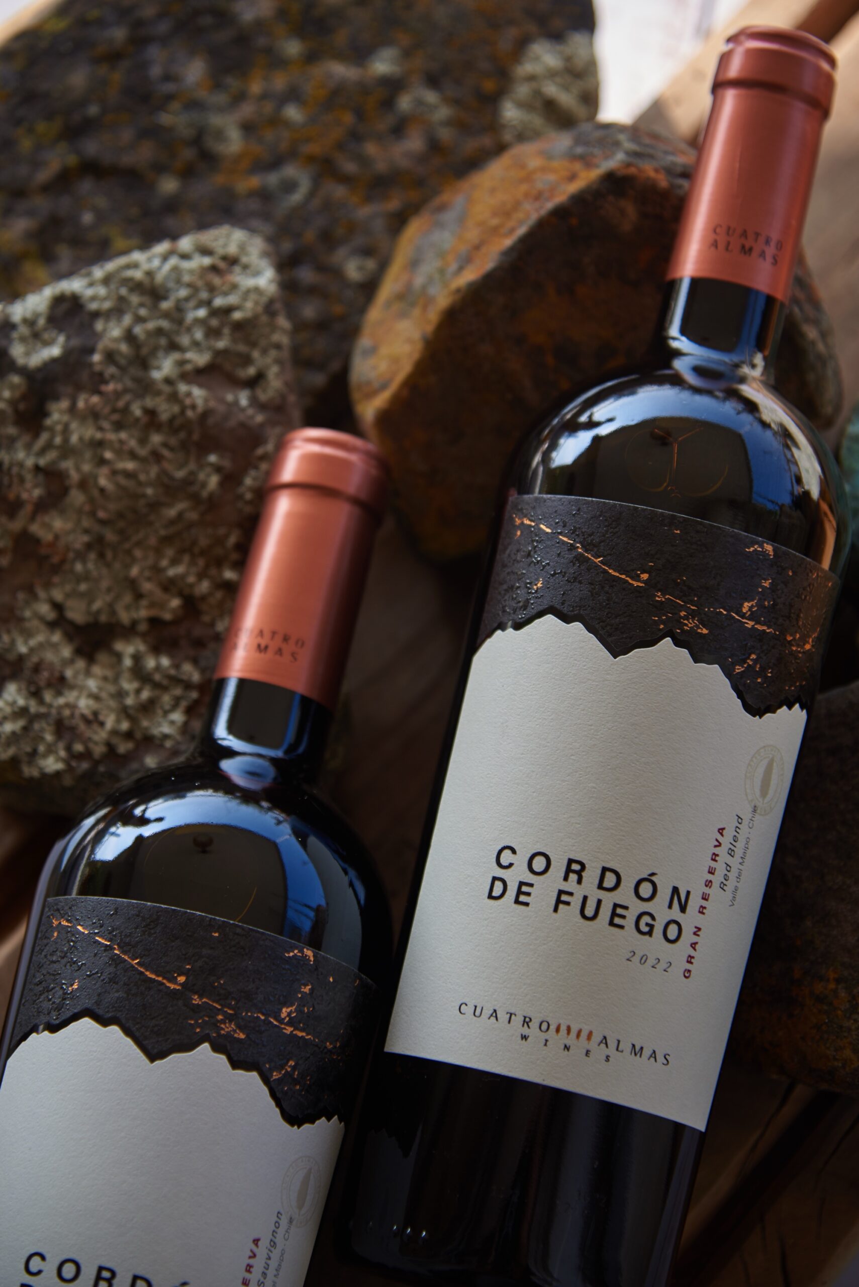 Pack x6 Cordón de Fuego Carmenere Gran Reserva - Imagen 4